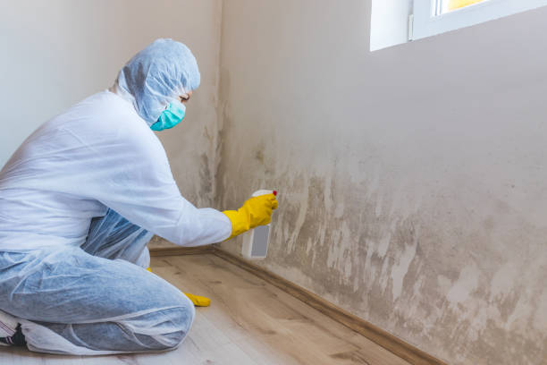 Bathroom Mold Removal assessment in Allenwood bathroom