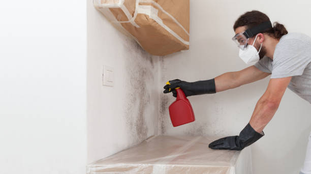 Attic Mold Remediation treatment on roof deck in Allenwood
