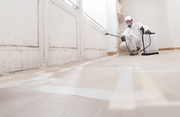 Black mold remediation team in Allenwood